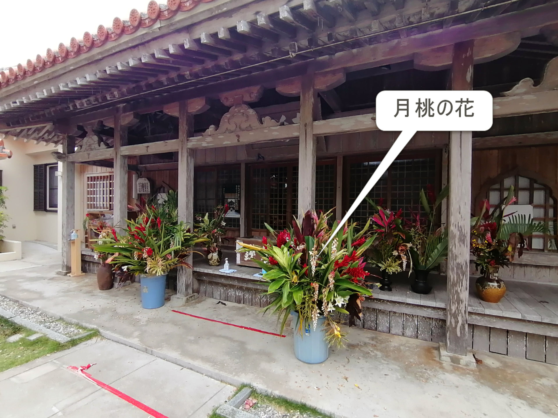 桃林寺4月