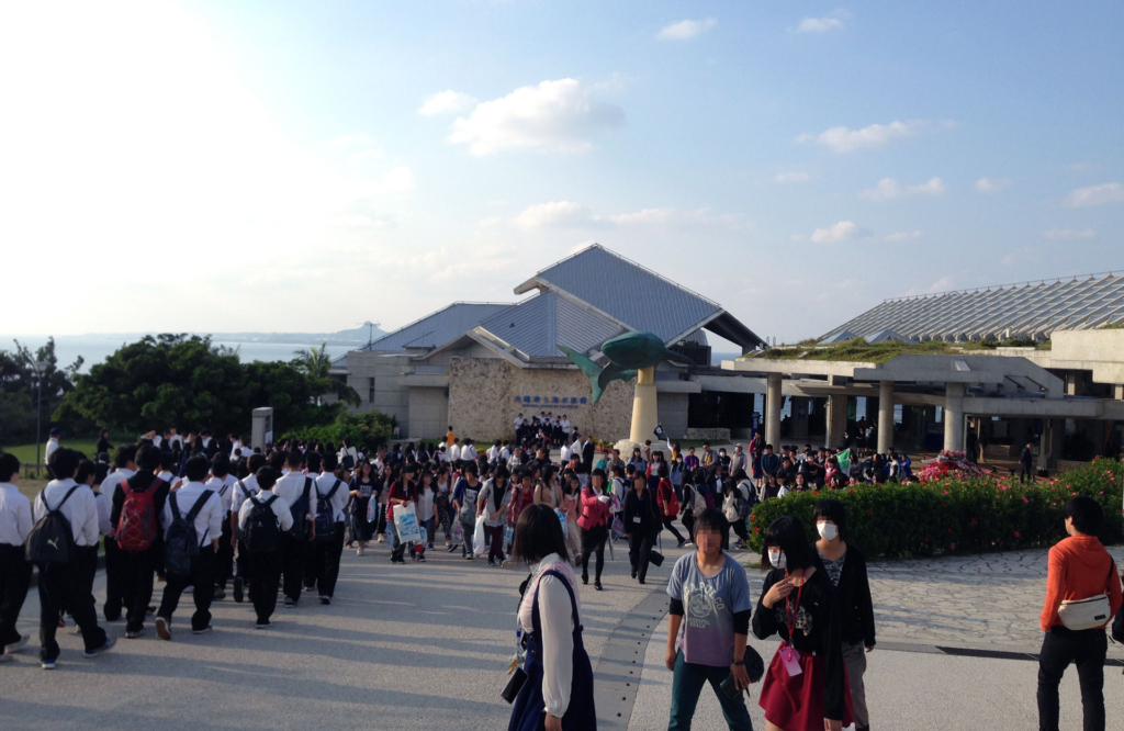 美ら海水族館