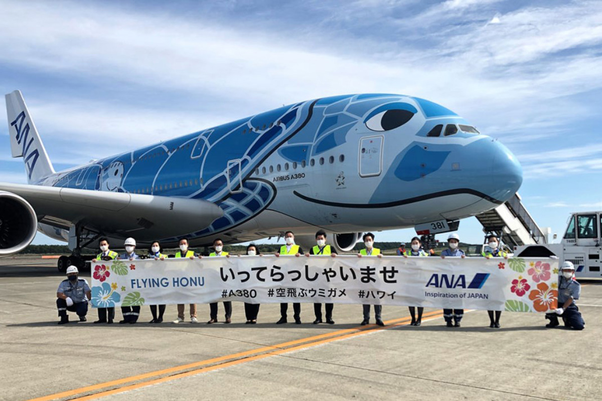 エアバスa 380 海ガメのペイントがカワイイ Anaのフライングホヌ ハワイ路線専用機なのに なぜか那覇空港にやってきた Free Fowls新石垣島ブログ エアバスa 380 海ガメのペイントがカワイイ Anaのフライングホヌ ハワイ路線専用機なのに なぜか那覇空港にやってきた Free Fowls新石垣島ブログ