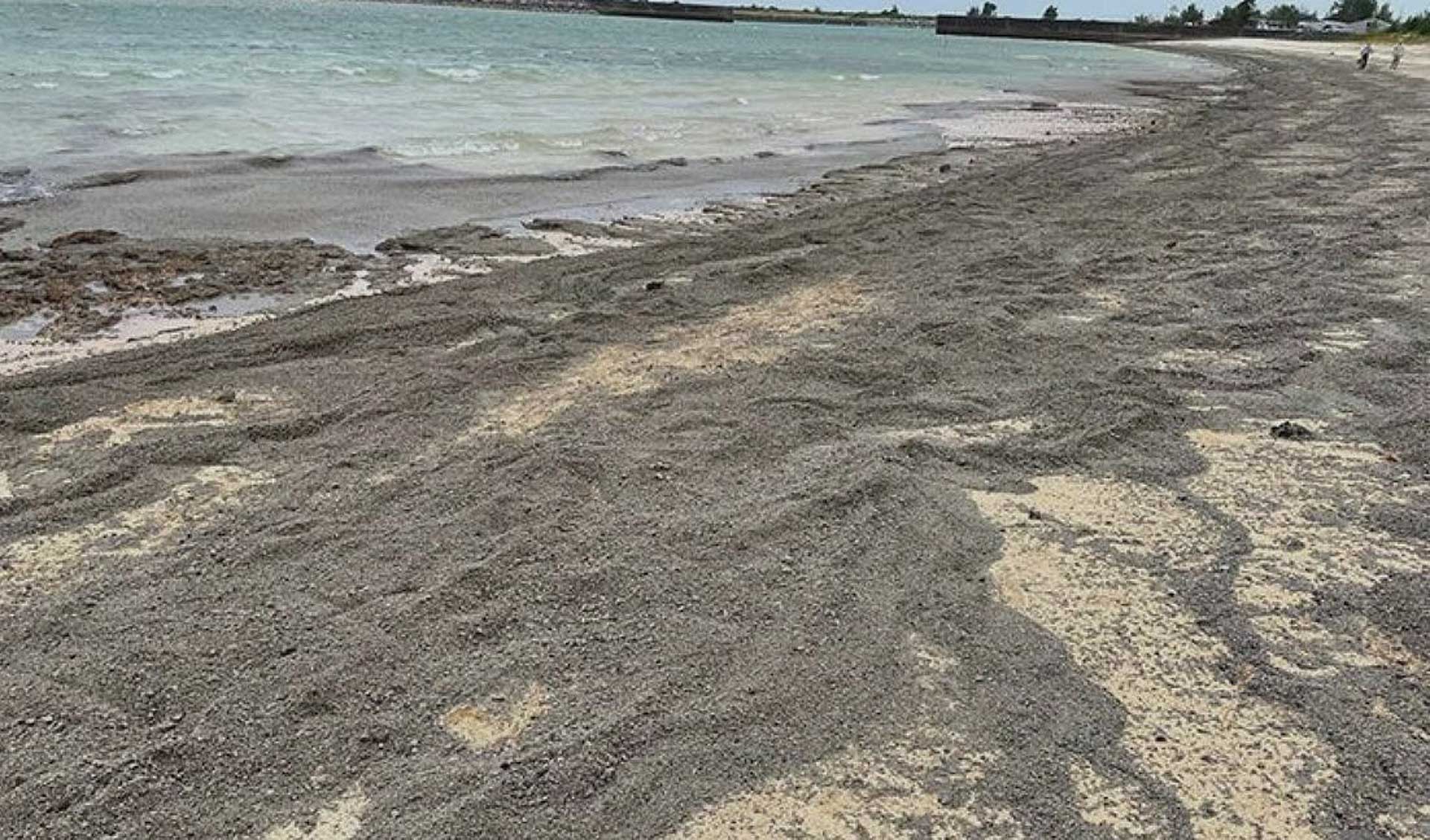軽石漂着の海岸
