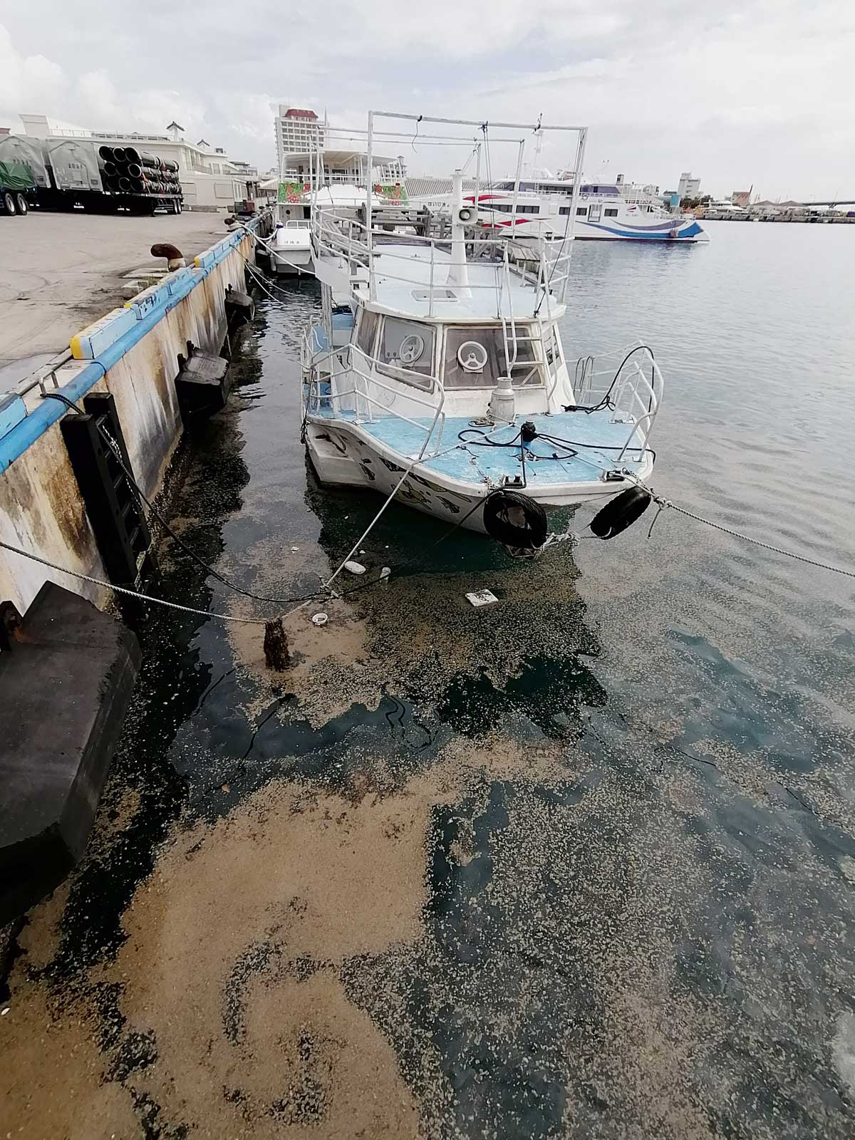 石垣島軽石漂着3