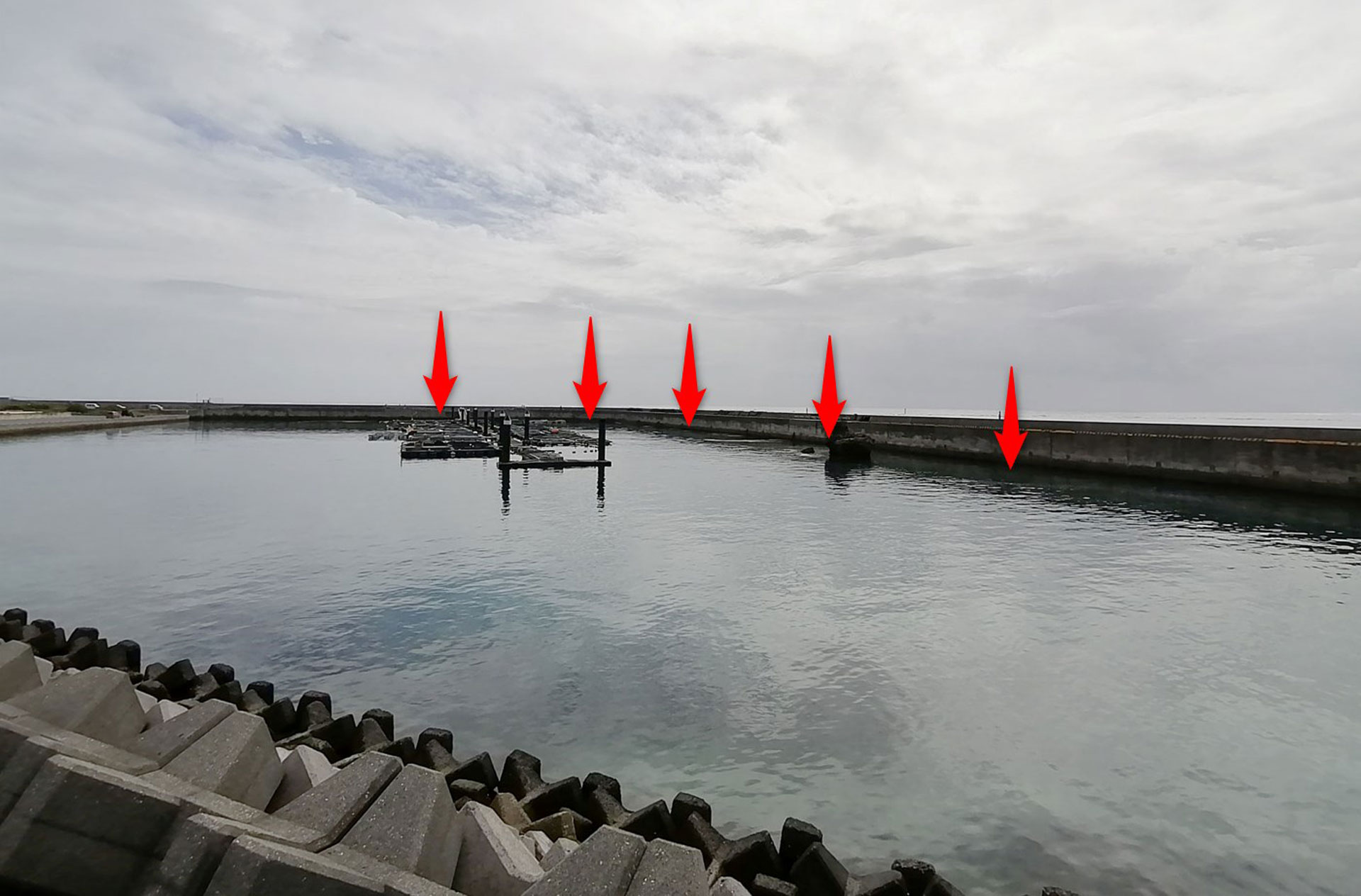 八島町養殖場1