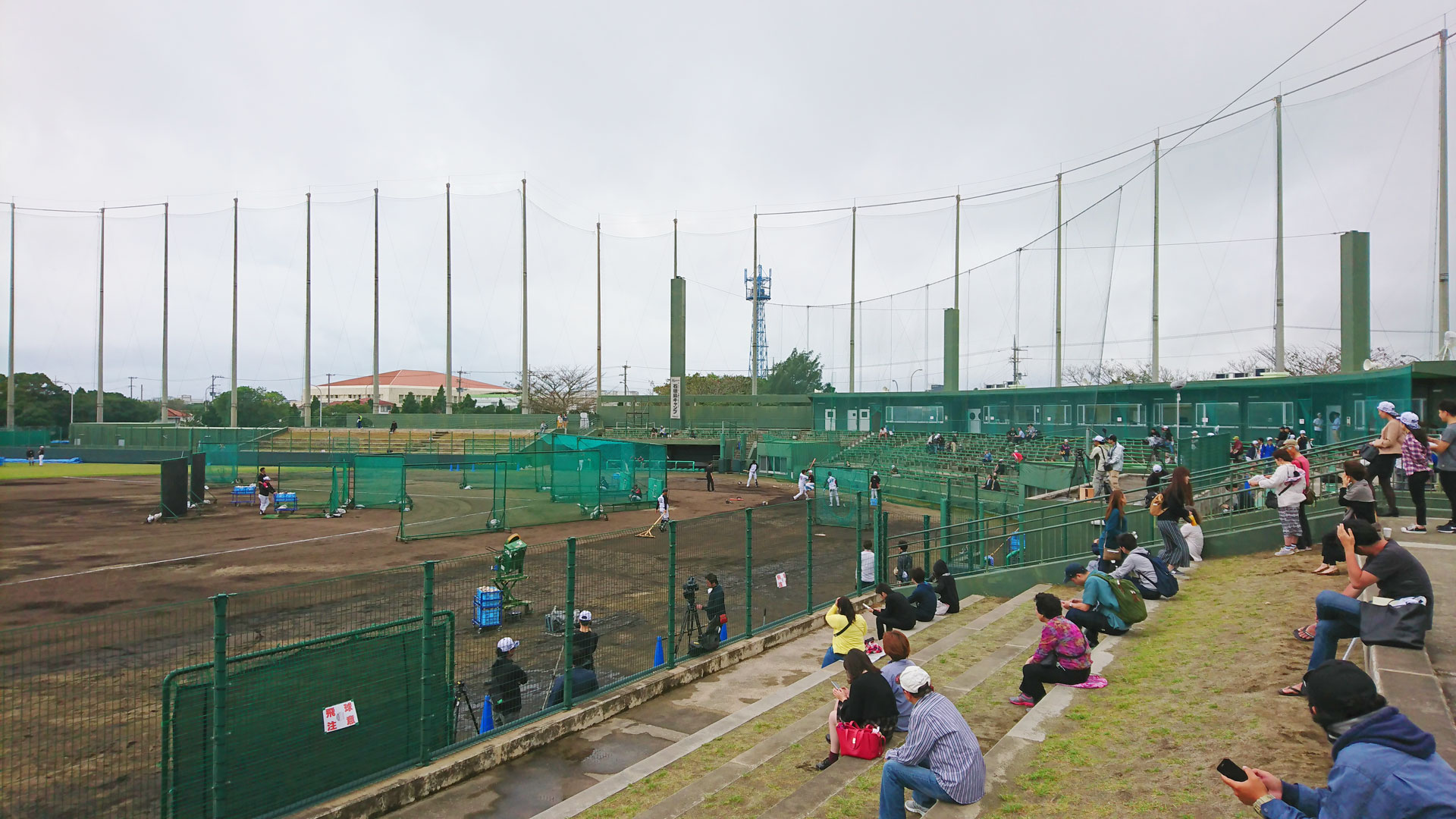 千葉ロッテ石垣島キャンプ
