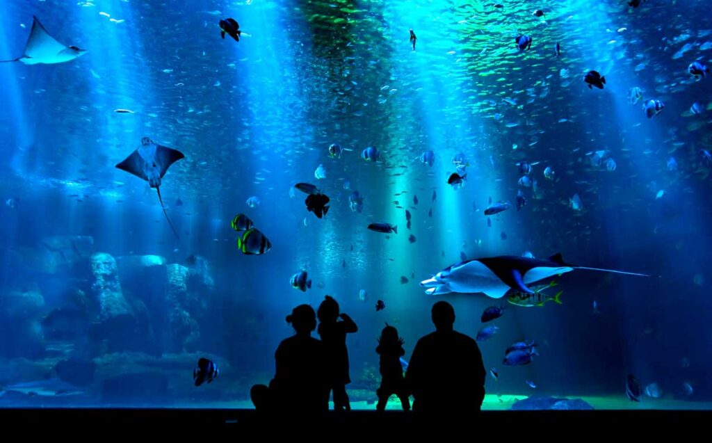 水族館