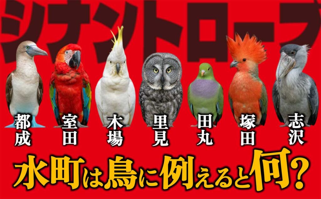 【シナントロープ】水町ことみのキャラは鳥に例えると何?
