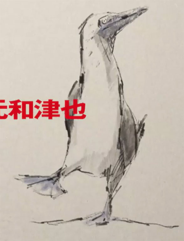 アオアシカツオドリ