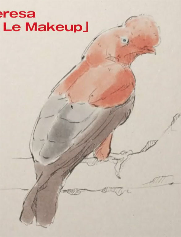 アンデスイワドリ