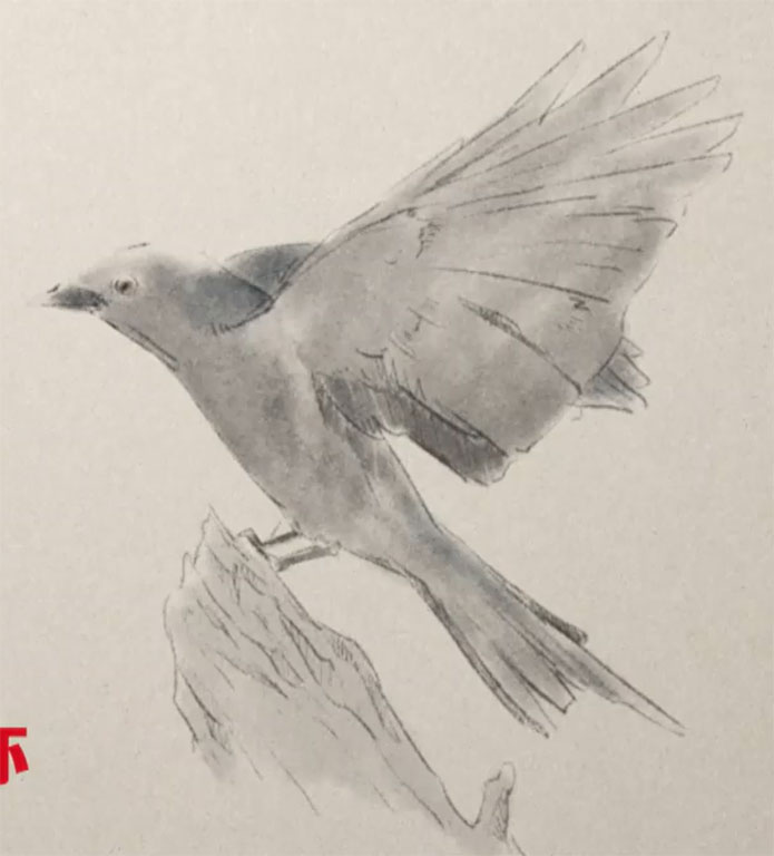 ハシブトカラス