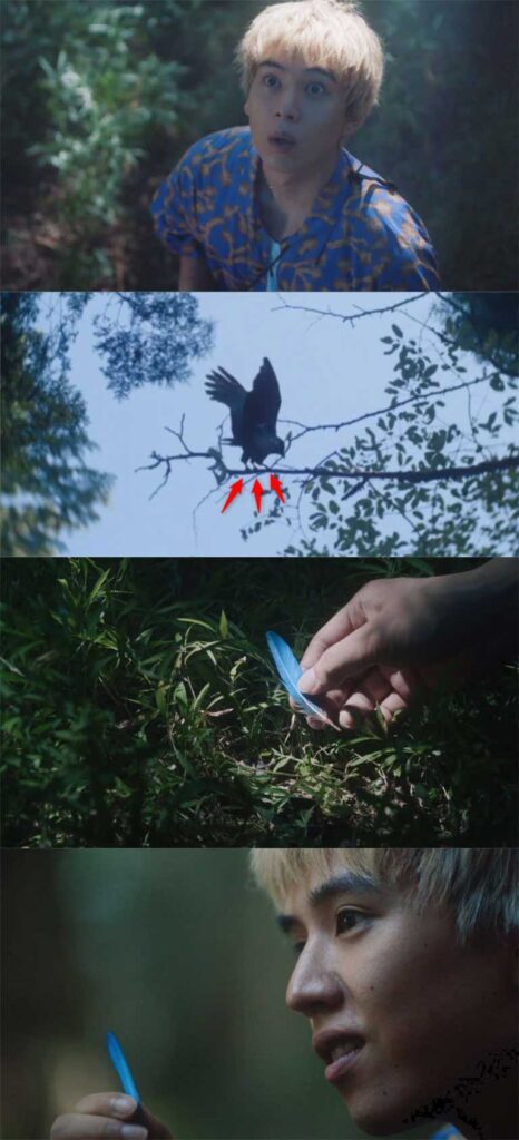 折田が消えた森の中でルリビタキの羽を拾うキバタン