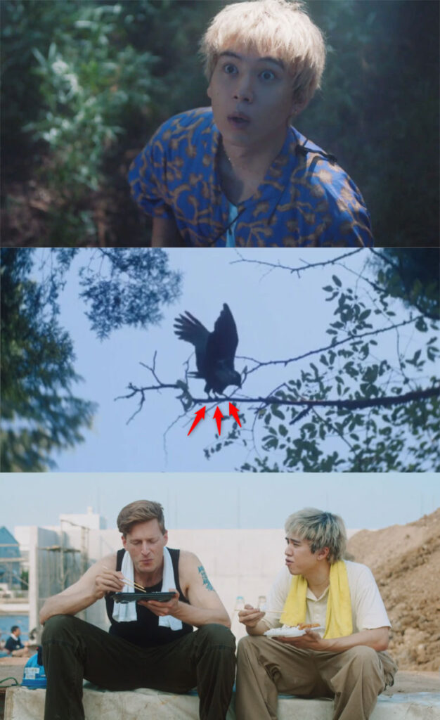 奥多摩の森の中で3本足のカラス「八咫烏」に出会うキバタン