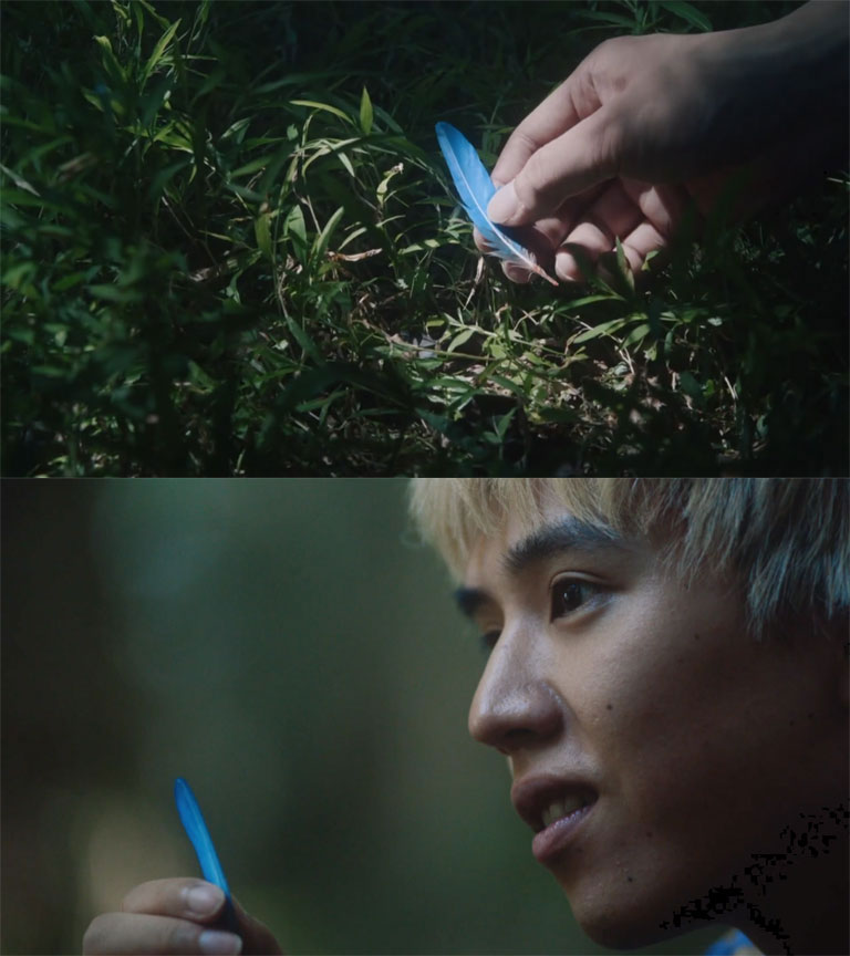 八咫烏の導きでルリビタキの羽を手に入れるキバタン