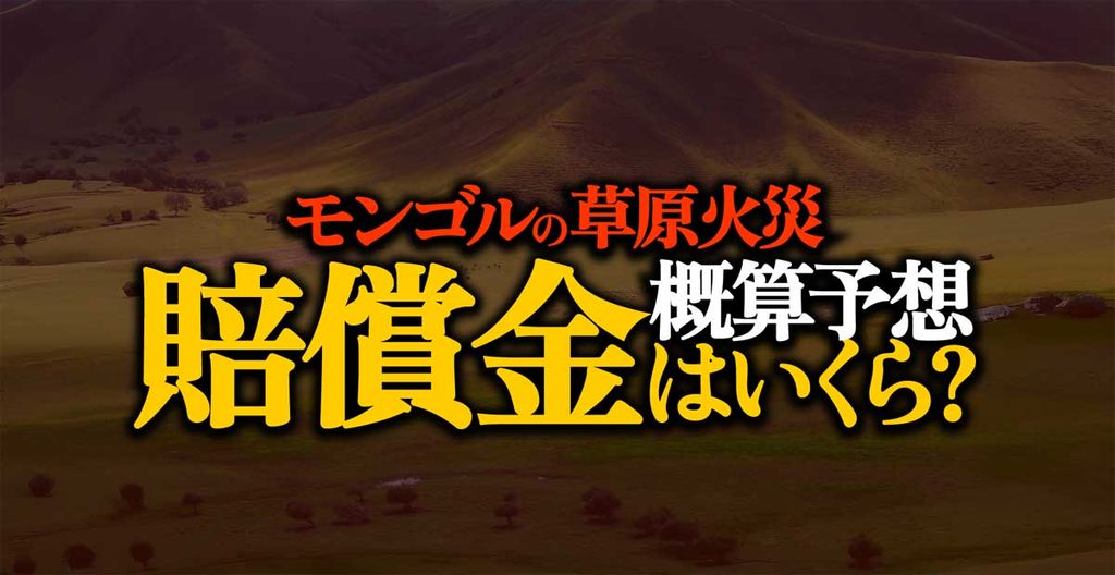 【概算予想】モンゴルで発生した草原火災の賠償金はいくら?